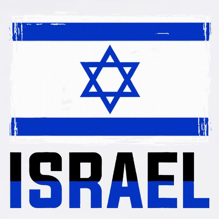Israel Flag Israel Cooling Performance Crew T-Shirt