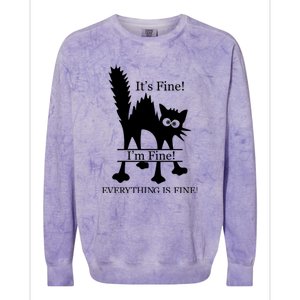 Its Fine I Am Fine Everything Is Fine Funny Frozen Shocked Cat Colorblast Crewneck Sweatshirt