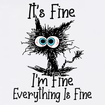 It's Fine I'm Fine Everything Is Fine Funny Cat T-Shirt