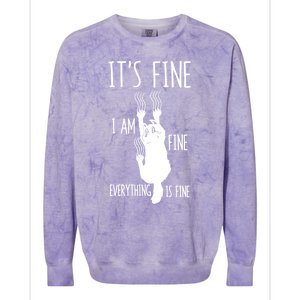 ItS Fine IM Fine Everything Is Fine Freakedout Cat Funny Gift Colorblast Crewneck Sweatshirt