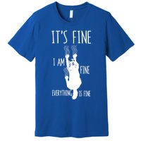 ItS Fine IM Fine Everything Is Fine Freakedout Cat Funny Gift Premium T-Shirt