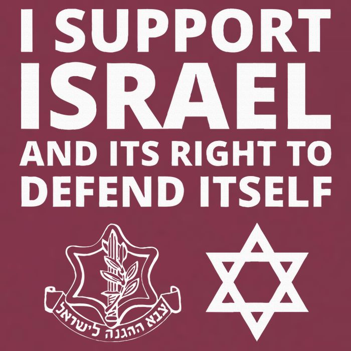 Idf Forces I Support Israel And Its Right To Defend Itself 16oz Travel Tumbler