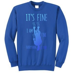 ItS Fine IM Fine Everything Is Fine Scratching Cat Funny Gift Sweatshirt