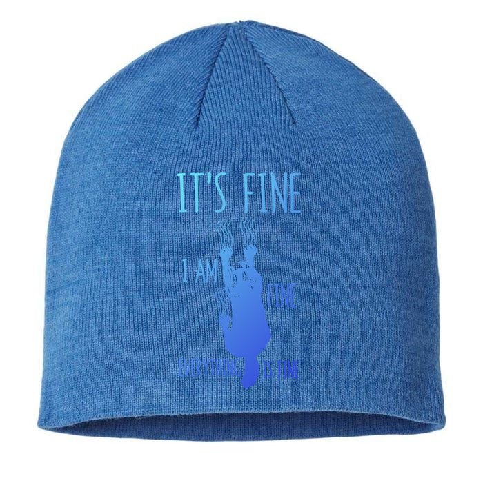 ItS Fine IM Fine Everything Is Fine Scratching Cat Funny Gift Sustainable Beanie