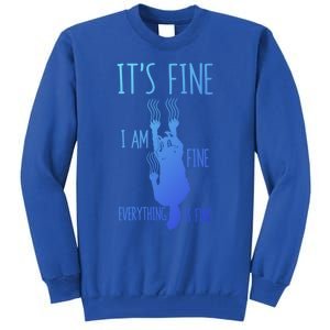 ItS Fine IM Fine Everything Is Fine Scratching Cat Funny Gift Tall Sweatshirt