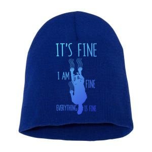 ItS Fine IM Fine Everything Is Fine Scratching Cat Funny Gift Short Acrylic Beanie