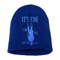 ItS Fine IM Fine Everything Is Fine Scratching Cat Funny Gift Short Acrylic Beanie