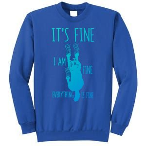 ItS Fine IM Fine Everything Is Fine Scratching Cat Funny Gift Sweatshirt