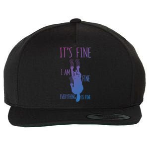 ItS Fine IM Fine Everything Is Fine Scratching Cat Funny Gift Wool Snapback Cap