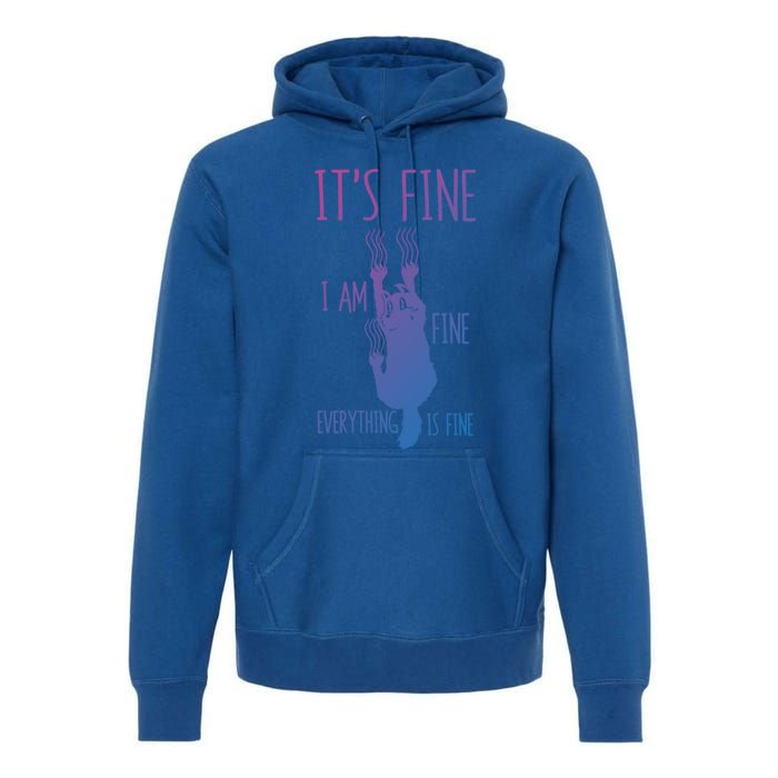 ItS Fine IM Fine Everything Is Fine Scratching Cat Funny Gift Premium Hoodie