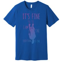 ItS Fine IM Fine Everything Is Fine Scratching Cat Funny Gift Premium T-Shirt