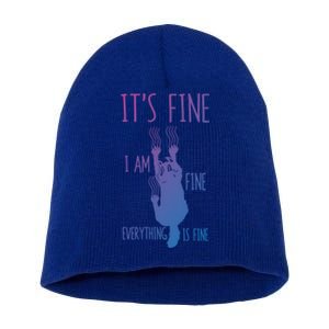 ItS Fine IM Fine Everything Is Fine Scratching Cat Funny Gift Short Acrylic Beanie