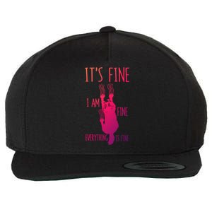 ItS Fine IM Fine Everything Is Fine Scratching Cat Funny Gift Wool Snapback Cap