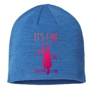 ItS Fine IM Fine Everything Is Fine Scratching Cat Funny Gift Sustainable Beanie