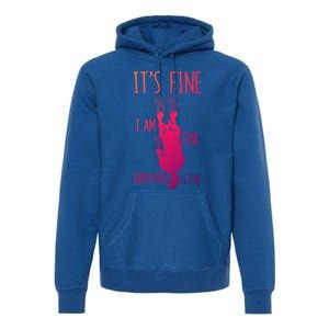 ItS Fine IM Fine Everything Is Fine Scratching Cat Funny Gift Premium Hoodie