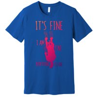 ItS Fine IM Fine Everything Is Fine Scratching Cat Funny Gift Premium T-Shirt