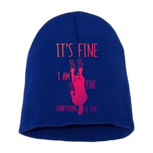 ItS Fine IM Fine Everything Is Fine Scratching Cat Funny Gift Short Acrylic Beanie