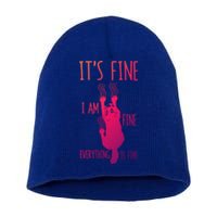 ItS Fine IM Fine Everything Is Fine Scratching Cat Funny Gift Short Acrylic Beanie