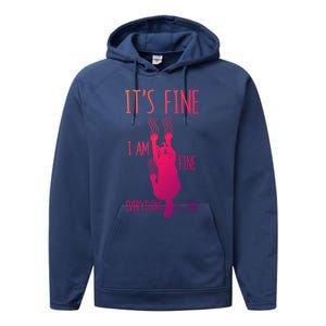 ItS Fine IM Fine Everything Is Fine Scratching Cat Funny Gift Performance Fleece Hoodie