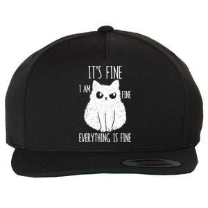 ItS Fine IM Fine Everything Is Fine Stressed Freakedout Gift Wool Snapback Cap