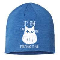 ItS Fine IM Fine Everything Is Fine Stressed Freakedout Gift Sustainable Beanie