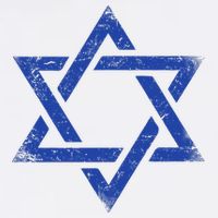 Israeli Flag Israel Jewish Symbol Star of David Pride Israel  Toddler T-Shirt