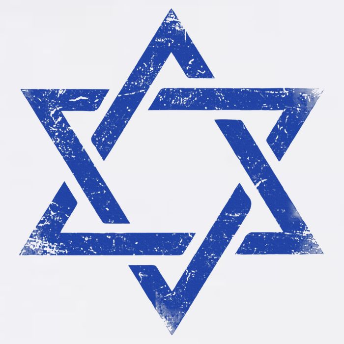 Israeli Flag Israel Jewish Symbol Star of David Pride Israel  Toddler T-Shirt