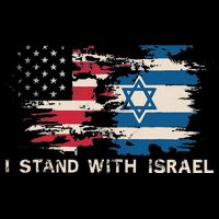 Israeli Flag Jewish Star Of David I Stand With Israel Flat Bill Trucker Hat