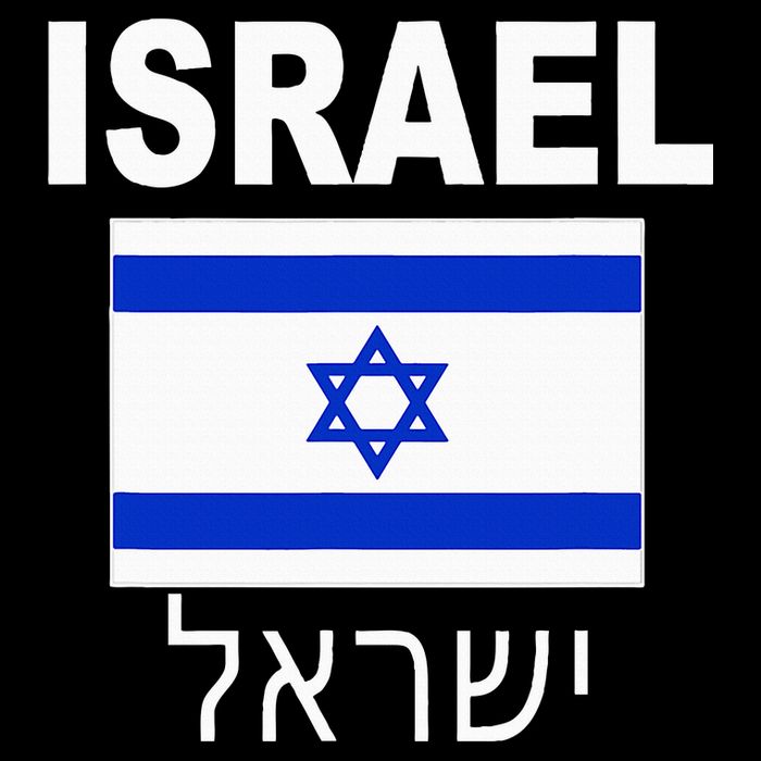 Israel Flag Jewish Israeli Flags Jude Hanukkah City Backpack
