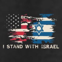 Israeli Flag Jewish Star Of David  I Stand With Israel  Adult Drive Performance Visor