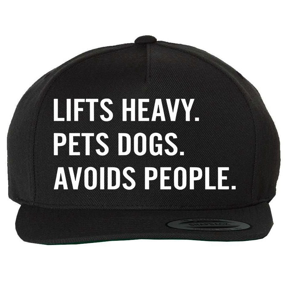 Ironpanda Fitness Lifts Heavy Pets Dogs Avoids People Wool Snapback Cap