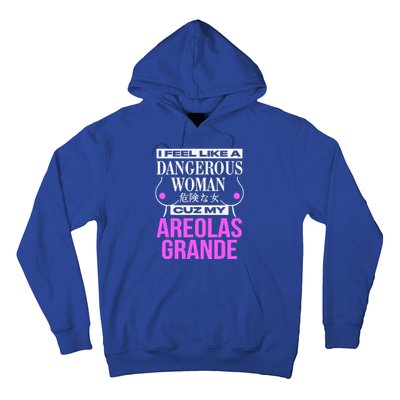 I Feel Like A Dangerous Woman Cuz My Areolas Grande Hoodie