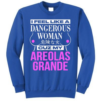 I Feel Like A Dangerous Woman Cuz My Areolas Grande Sweatshirt