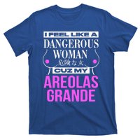 I Feel Like A Dangerous Woman Cuz My Areolas Grande T-Shirt