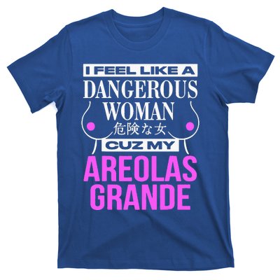 I Feel Like A Dangerous Woman Cuz My Areolas Grande T-Shirt