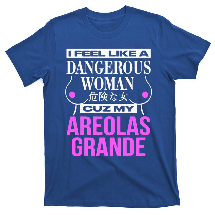 I Feel Like A Dangerous Woman Cuz My Areolas Grande T-Shirt