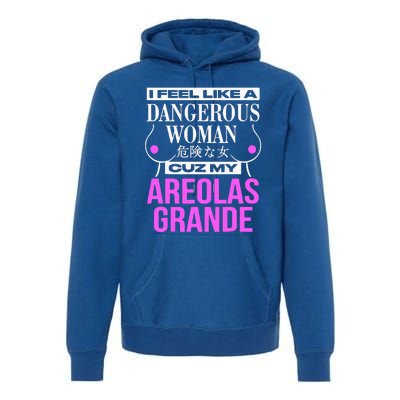 I Feel Like A Dangerous Woman Cuz My Areolas Grande Premium Hoodie