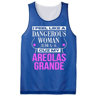 I Feel Like A Dangerous Woman Cuz My Areolas Grande Mesh Reversible Basketball Jersey Tank