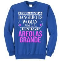 I Feel Like A Dangerous Woman Cuz My Areolas Grande Tall Sweatshirt