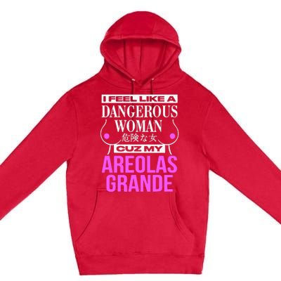 I Feel Like A Dangerous Woman Cuz My Areolas Grande Premium Pullover Hoodie