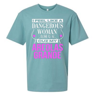 I Feel Like A Dangerous Woman Cuz My Areolas Grande Sueded Cloud Jersey T-Shirt