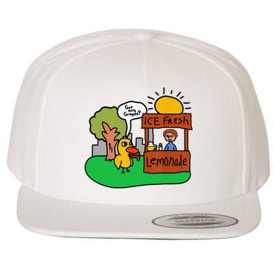 Ice Fresh Lemonade Got Any Grapes Duck Funny Gift Wool Snapback Cap