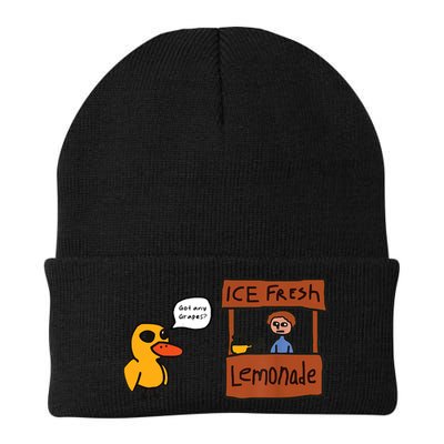 Ice Fresh Lemonade Got Any Grapes Duck Funny Ice Fresh Beanie