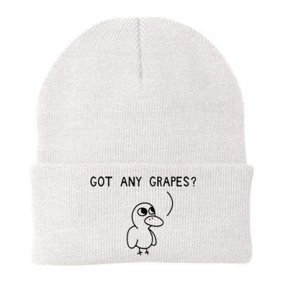 Ice Fresh Lemonade Duck Funny Got Any Grapes Love Gift Knit Cap Winter Beanie