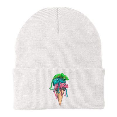 Icecream Frog Lover Food Funny Beanie
