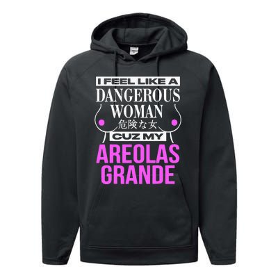 I Feel Like A Dangerous Woman Cuz My Areolas Grande Performance Fleece Hoodie