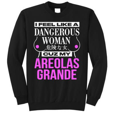 I Feel Like A Dangerous Woman Cuz My Areolas Grande Tall Sweatshirt