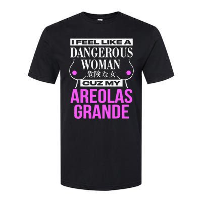 I Feel Like A Dangerous Woman Cuz My Areolas Grande Softstyle CVC T-Shirt