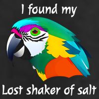 I Found My Lost Shaker Of Salt Fun Parrot Head Design 7 Panel Mesh Trucker Snapback Hat