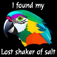 I Found My Lost Shaker Of Salt Fun Parrot Head Design 16 in Basic Backpack